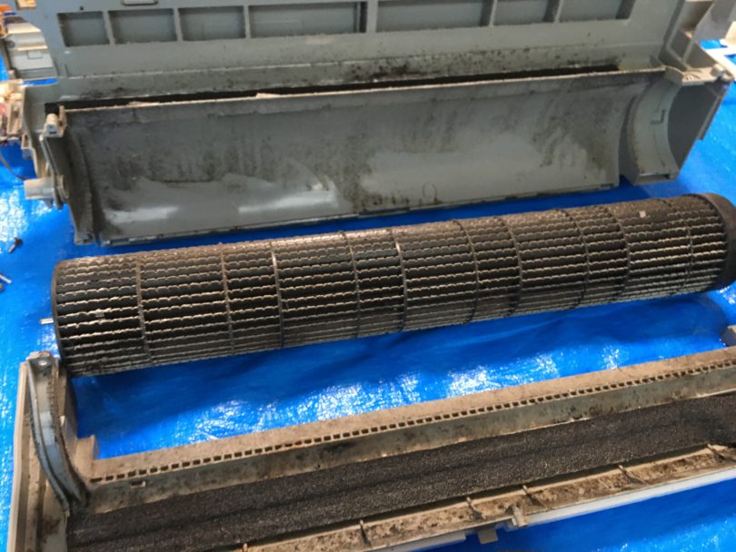 全ての汚れ、カビが見えるようになります。