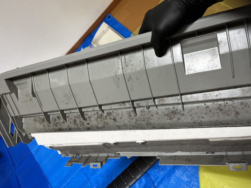 ボディ背面側のカビ